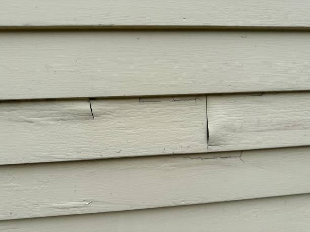 Best Property Management Cleanouts  in Stockton, MO